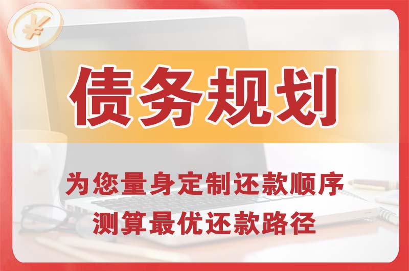 临清债务规划